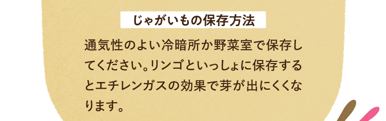 じゃがいもは、通気性のよい冷暗所か野菜室で保存してください。リンゴといっしょに保存するとエチレンガスの効果で芽が出にくくなります。