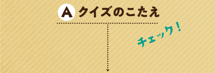 クイズのこたえをチェック!