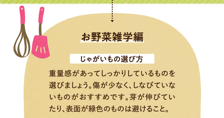 お野菜の雑学を紹介します じゃがいもを選ぶときは 重量感があってしっかりしているものを選びましょう。傷が少なく、しなびていないものがおすすめです。芽が伸びていたり、表面が緑色のものは避けること。
