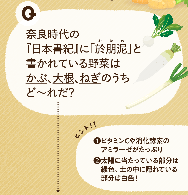 奈良時代の「日本書紀」に「おほね」と書かれている野菜は、かぶ 大根 ねぎ のうちどーれだ？ ヒントその1 ビタミンCや消化酵素のアミラーゼがたっぷり ヒントその2 太陽に当たっている部分は緑色、土の中に隠れている部分は白色!