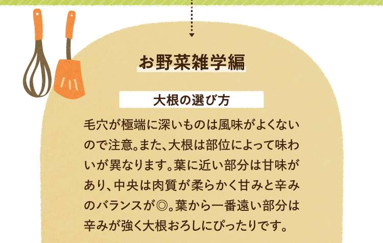 お野菜の雑学を紹介します 大根の選び方 毛穴は極端に深いものは風味がよくないので注意。また、大根は部位によって味わいが異なります。葉に近い部分は甘味があり、中央は肉質が柔らかく甘みと辛みのバランスが良いです。葉から一番遠い部分は辛みが強く大根おろしにぴったりです。