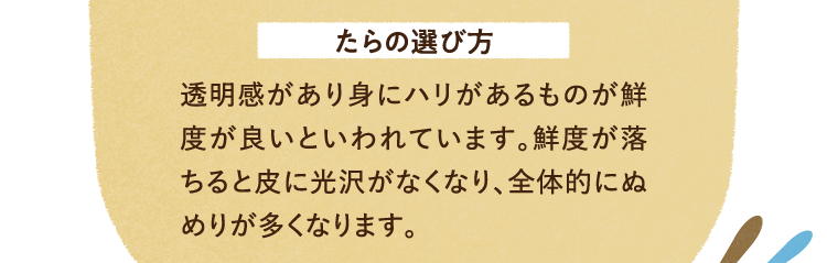 たらの選び方 透明感があり身にハリがあるものが鮮度が良いといわれています。鮮度が落ちると皮に光沢がなくなり、全体的にぬめりが多くなります。