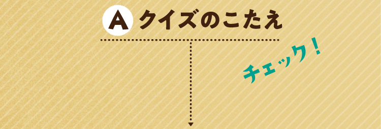 クイズのこたえをチェック!