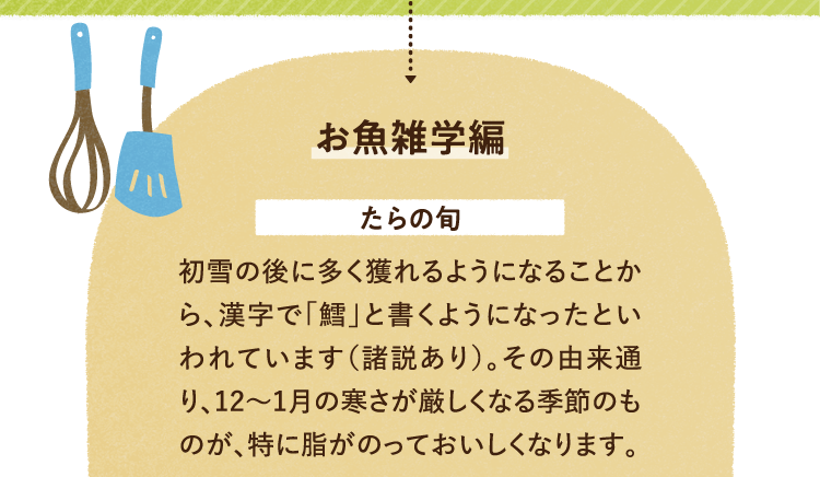 お魚の雑学を紹介します たらの旬についてです。初雪の後に多く獲れるようになることから、漢字で「鱈」と書くようになったといわれています(諸説あり)。その由来通り、12から1月の寒さが厳しくなる季節のものが、特に脂がのっておいしくなります。