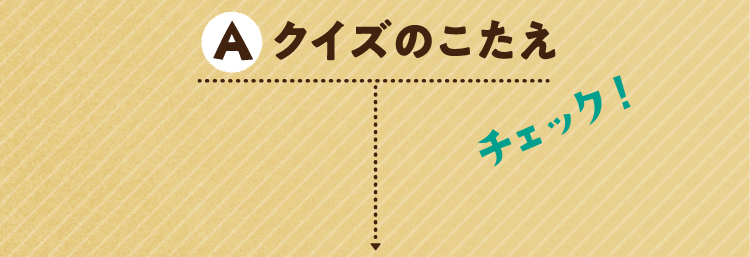 クイズのこたえをチェック!