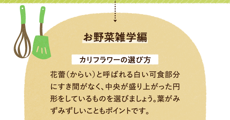 お野菜の雑学を紹介します。 カリフラワーの選び方についてです。からいと呼ばれる白い可食部分にすき間がなく、中央が盛り上がった円形をしているものを選びましょう。葉がみずみずしいこともポイントです。