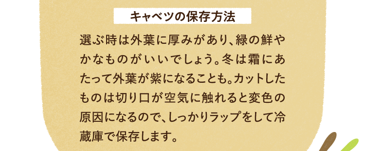 キャベツの保存方法を紹介します。選ぶ時は外葉に厚みがあり、緑の鮮やかなものがいいでしょう。冬は霜にあたって外葉が紫になることも。カットしたものは切り口が空気に触れると変色の原因になるので、しっかりラップをして冷蔵庫で保存します。