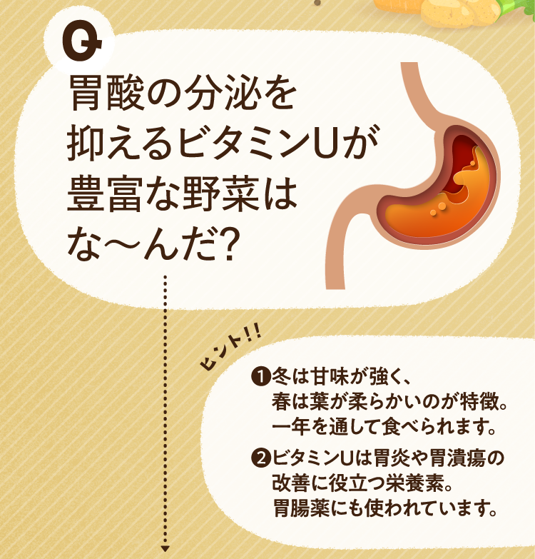 胃酸の分泌を抑えるビタミンUが豊富な野菜はな～んだ？ ヒントその１ 冬は甘味が強く、春は葉が柔らかいのが特徴。一年を通して食べられます。 ヒントその２ ビタミンUは胃炎や胃潰瘍の改善に役立つ栄養素。胃腸薬にも使われています。