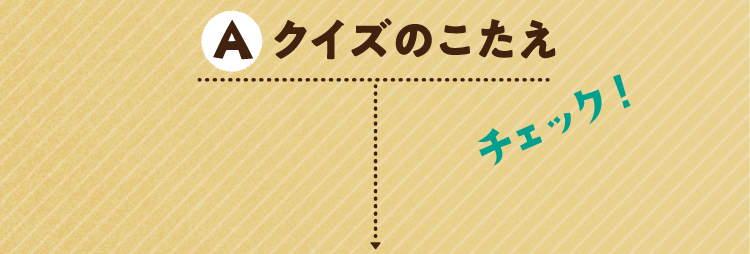 クイズのこたえをチェック!