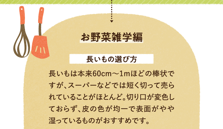 お野菜の雑学を紹介します。 長いもの選び方について 長いもは本来60cm～1ｍほどの棒状ですが、スーパーなどでは短く切って売られていることがほとんど。切り口が変色しておらず、皮の色が均一で表面がやや湿っているものがおすすめです。