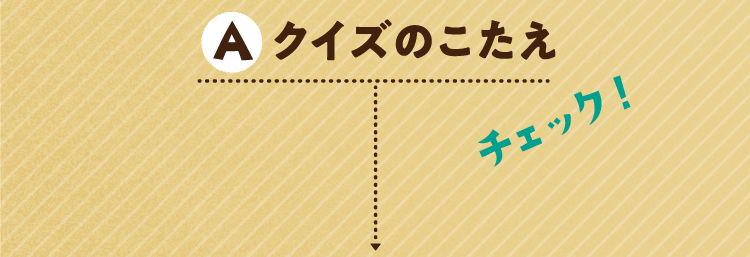 クイズのこたえをチェック!