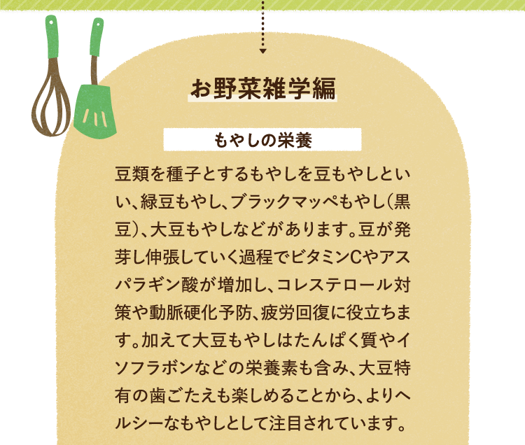 お野菜の雑学を紹介します。 もやしの栄養について 豆類を種子とするもやしを豆もやしといい、緑豆もやし、ブラックマッペもやし（黒豆）、大豆もやしなどがあります。豆が発芽し伸張していく過程でビタミンCやアスパラギン酸が増加し、コレステロール対策や動脈硬化予防、疲労回復に役立ちます。加えて大豆もやしはたんぱく質やイソフラボンなどの栄養素も含み、大豆特有の歯ごたえも楽しめることから、よりヘルシーなもやしとして注目されています。
