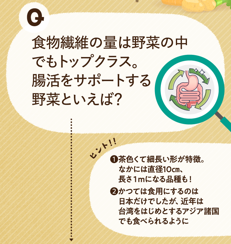 食物繊維の量は野菜の中でもトップクラス。腸活をサポートする野菜といえば？ ヒントその1 茶色くて細長い形が特徴。なかには直径10㎝、長さ１mになる品種も！ ヒントその2 かつては食用にするのは日本だけでしたが、近年は台湾をはじめとするアジア諸国でも食べられるように