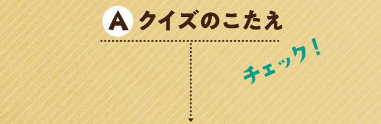クイズのこたえをチェック!