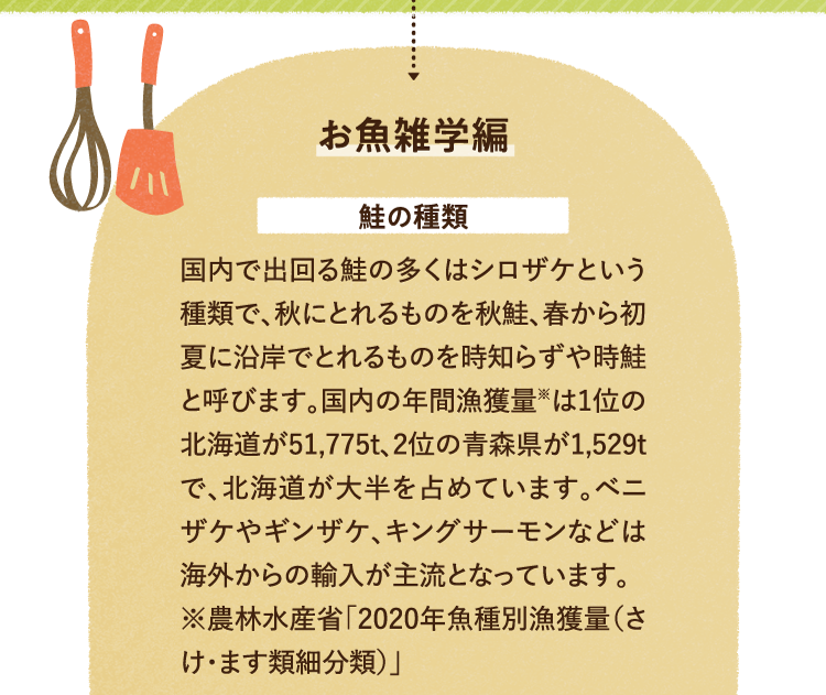 お魚の雑学を紹介します。 鮭の種類について 国内で出回る鮭の多くはシロザケという種類で、秋にとれるものを秋鮭、春から初夏に沿岸でとれるものを時知らずや時鮭と呼びます。国内の年間漁獲量※は1位の北海道が51,775t、2位の青森県が1,529tで、北海道が大半を占めています。ベニザケやギンザケ、キングサーモンなどは海外からの輸入が主流となっています。※農林水産省「2020年魚種別漁獲量（さけ・ます類細分類）」