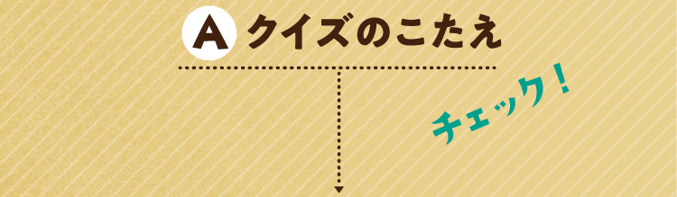 クイズのこたえをチェック!