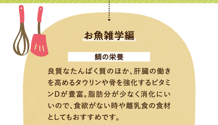 お魚の雑学を紹介します。 鯛の栄養について 良質なたんぱく質のほか、肝臓の働きを高めるタウリンや骨を強化するビタミンDが豊富。脂肪分が少なく消化にいいので、食欲がない時や離乳食の食材としてもおすすめです。