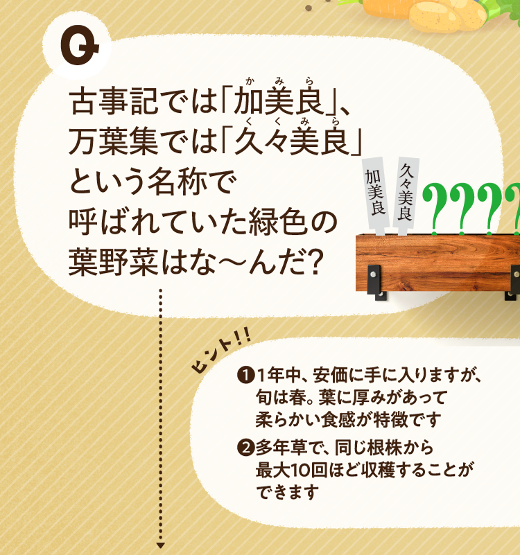 古事記では「加美良」、万葉集では「久々美良」という名称で呼ばれていた緑色の葉野菜はな～んだ？ ヒントその1 1年中、安価に手に入りますが、旬は春。葉に厚みがあって柔らかい食感が特徴です ヒントその2 多年草で、同じ根株から最大10回ほど収穫することができます