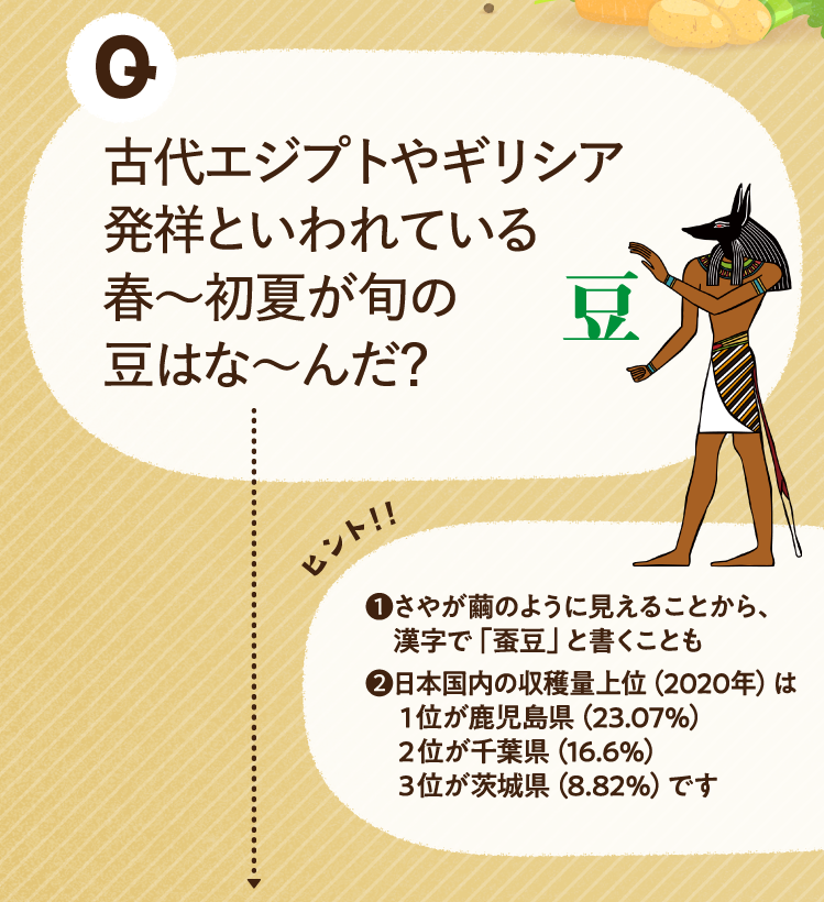 古代エジプトやギリシア発祥といわれている春～初夏が旬の豆はな～んだ？ ヒントその1 さやが繭のように見えることから、漢字で「蚕豆」と書くことも ヒントその2 日本国内の収穫量上位（2020年）は1位が鹿児島県（23.07％）2位が千葉県（16.6％）3位が茨城県（8.82％）です
