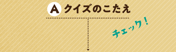 クイズのこたえをチェック!