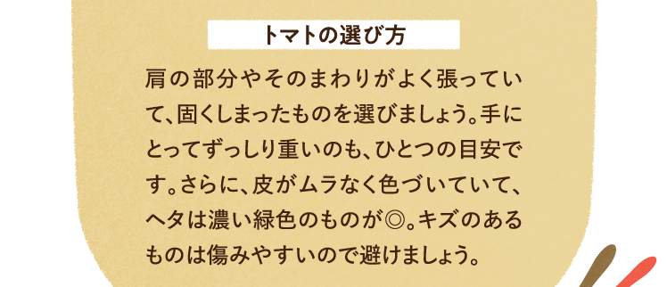 トマトの選び方 肩の部分やそのまわりがよく張っていて、固くしまったものを選びましょう。手にとってずっしり重いのも、ひとつの目安です。さらに、皮がムラなく色づいていて、ヘタは濃い緑色のものが◎。キズのあるものは傷みやすいので避けましょう。