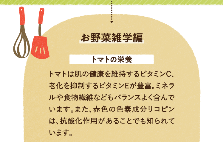 お野菜の雑学を紹介します。 トマトの栄養について トマトは肌の健康を維持するビタミンC、老化を抑制するビタミンEが豊富。ミネラルや食物繊維などもバランスよく含んでいます。また、赤色の色素成分リコピンは、抗酸化作用があることでも知られています。
