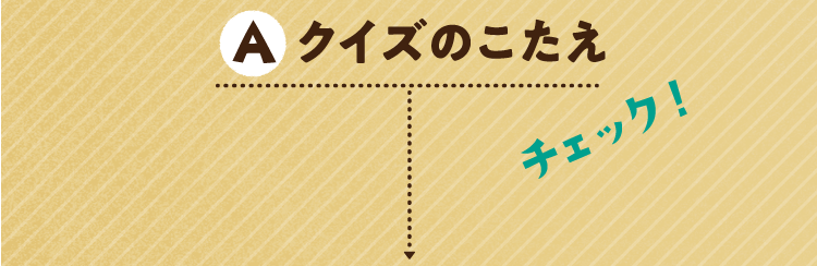 クイズのこたえをチェック!