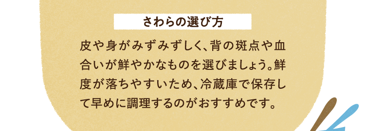 さわらの選び方 皮や身がみずみずしく、背の斑点や血合いが鮮やかなものを選びましょう。鮮度が落ちやすいため、冷蔵庫で保存して早めに調理するのがおすすめです。