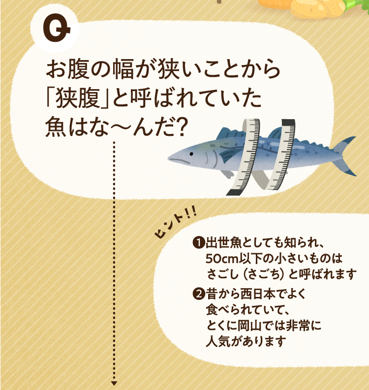 お腹の幅が狭いことから「狭腹」と呼ばれていた魚はな～んだ？ ヒントその1 出世魚としても知られ、50cm以下の小さいものはさごし（さごち）と呼ばれます ヒントその2 昔から西日本でよく食べられていて、とくに岡山では非常に人気があります