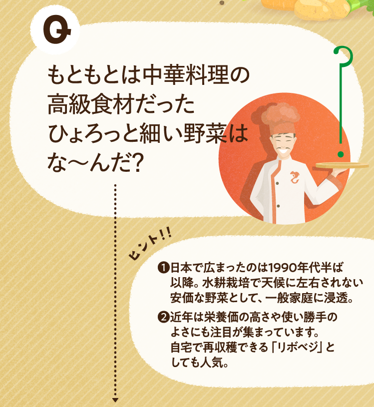 もともとは中華料理の高級食材だったひょろっと細い野菜はな～んだ？ ヒントその1 日本で広まったのは1990年代半ば以降。水耕栽培で天候に左右されない安価な野菜として、一般家庭に浸透。 ヒントその2 近年は栄養価の高さや使い勝手のよさにも注目が集まっています。自宅で再収穫できる「リボベジ」としても人気。