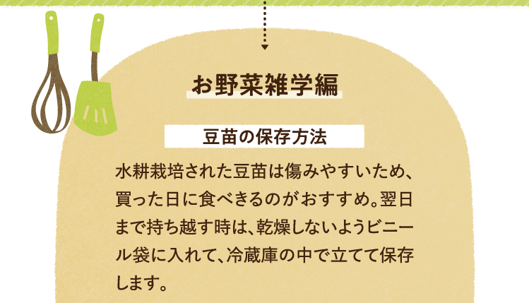 お野菜の雑学を紹介します。 豆苗の保存方法について 水耕栽培された豆苗は傷みやすいため、買った日に食べきるのがおすすめ。翌日まで持ち越す時は、乾燥しないようビニール袋に入れて、冷蔵庫の中で立てて保存します。