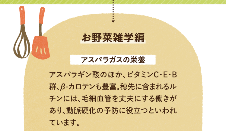 お野菜の雑学を紹介します。 アスパラガスの栄養について アスパラギン酸のほか、ビタミンC・E・B群、β-カロテンも豊富。穂先に含まれるルチンには、毛細血管を丈夫にする働きがあり、動脈硬化の予防に役立つといわれています。