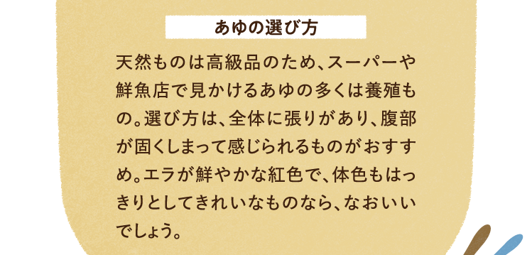 あゆの選び方について 天然ものは高級品のため、スーパーや鮮魚店で見かけるあゆの多くは養殖もの。選び方は、全体に張りがあり、腹部が固くしまって感じられるものがおすすめ。エラが鮮やかな紅色で、体色もはっきりとしてきれいなものなら、なおいいでしょう。