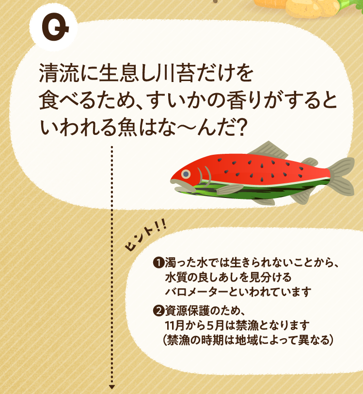 清流に生息し川苔だけを食べるため、すいかの香りがするといわれる魚はな～んだ？ ヒントその1 濁った水では生きられないことから、水質の良しあしを見分けるバロメーターといわれています ヒントその2 資源保護のため、11月から５月は禁漁となります（禁漁の時期は地域によって異なる）