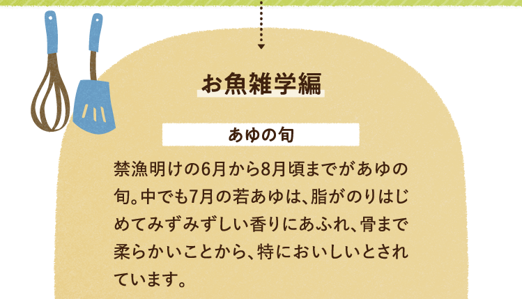 お魚の雑学を紹介します。 あゆの旬について 禁漁明けの6月から8月頃までがあゆの旬。中でも7月の若あゆは、脂がのりはじめてみずみずしい香りにあふれ、骨まで柔らかいことから、特においしいとされています。