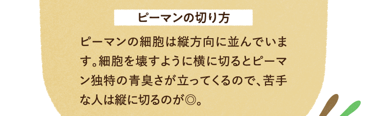 ピーマンの切り方について ピーマンの細胞は縦方向に並んでいます。細胞を壊すように横に切るとピーマン独特の青臭さが立ってくるので、苦手な人は縦に切るのが◎。