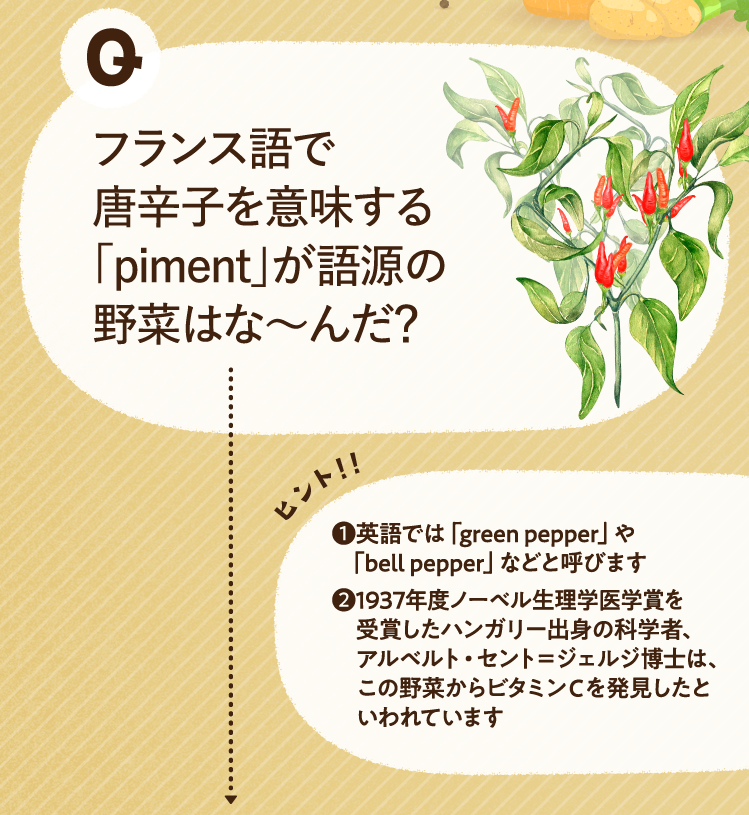 フランス語で唐辛子を意味する「piment」が語源の野菜はな～んだ？ ヒントその1 英語では「green pepper」や「bell pepper」などと呼びます ヒントその2 1937年度ノーベル生理学医学賞を受賞したハンガリー出身の科学者、アルベルト・セント＝ジェルジ博士は、この野菜からビタミンCを発見したといわれています