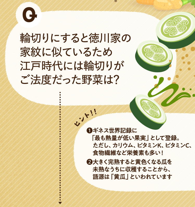 輪切りにすると徳川家の家紋に似ているため江戸時代には輪切りがご法度だった野菜は？ ヒントその1 ギネス世界記録に「最も熱量が低い果実」として登録。ただし、カリウム、ビタミンK、ビタミンC、食物繊維など栄養素も多い！ ヒントその2 大きく完熟すると黄色くなる瓜を未熟なうちに収穫することから、語源は「黄瓜」といわれています