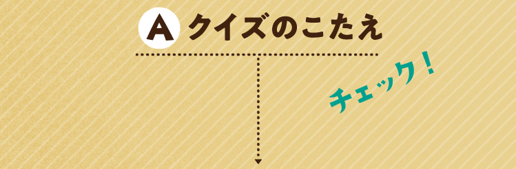 クイズのこたえをチェック！