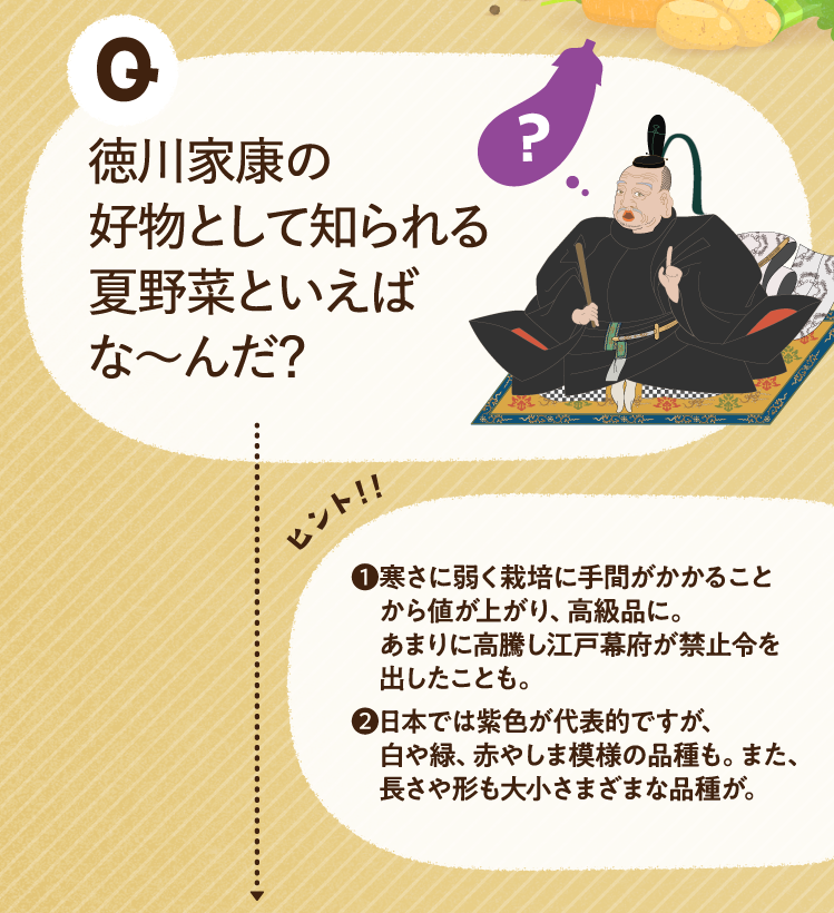 徳川家康の好物として知られる夏野菜といえばな～んだ？ ヒントその1 寒さに弱く栽培に手間がかかることから値が上がり、高級品に。あまりに高騰し江戸幕府が禁止令を出したことも。 ヒントその2 日本では紫色が代表的ですが、白や緑、赤やしま模様の品種も。また、長さや形も大小さまざまな品種が。