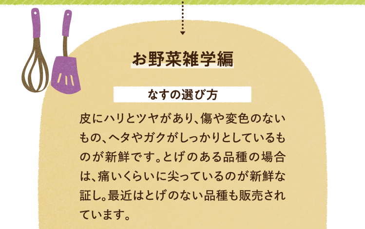 お野菜の雑学編を紹介します。 なすの選び方について 皮にハリとツヤがあり、傷や変色のないもの、ヘタやガクがしっかりとしているものが新鮮です。とげのある品種の場合は、痛いくらいに尖っているのが新鮮な証し。最近はとげのない品種も販売されています。