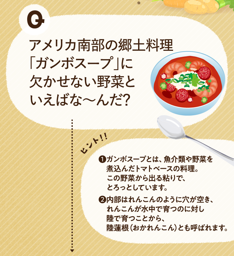 アメリカ南部の郷土料理「ガンボスープ」に欠かせない野菜といえばな～んだ？ ヒントその1 ガンボスープとは、魚介類や野菜を煮込んだトマトベースの料理。この野菜から出る粘りで、とろっとしています。 ヒントその2 内部はれんこんのように穴が空き、れんこんが水中で育つのに対し陸で育つことから、陸蓮根（おかれんこん）とも呼ばれます。