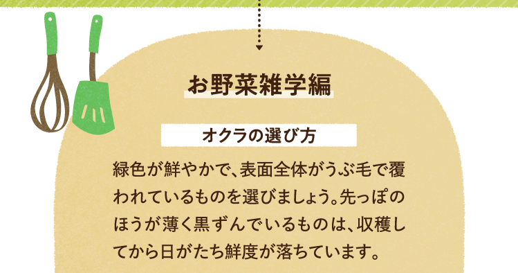 お野菜の雑学を紹介します。 オクラの選び方について 緑色が鮮やかで、表面全体がうぶ毛で覆われているものを選びましょう。先っぽのほうが薄く黒ずんでいるものは、収穫してから日がたち鮮度が落ちています。