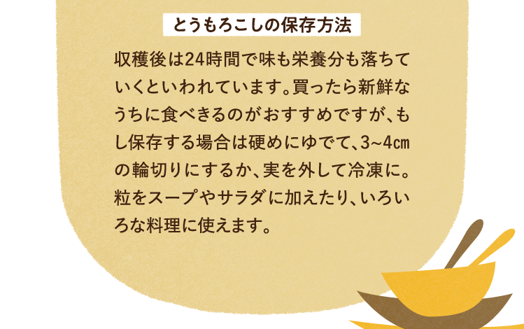 とうもろこしの保存方法について 収穫後は24時間で味も栄養分も落ちていくといわれています。買ったら新鮮なうちに食べきるのがおすすめですが、もし保存する場合は硬めにゆでて、3~4㎝の輪切りにするか、実を外して冷凍に。粒をスープやサラダに加えたり、いろいろな料理に使えます。