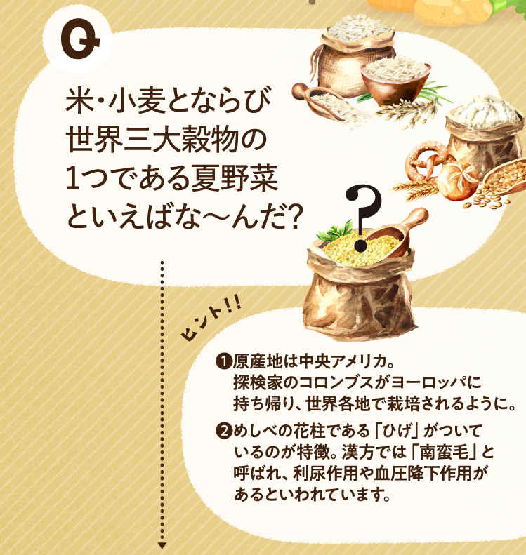 米・小麦とならび世界三大穀物の1つである夏野菜といえばな～んだ？ ヒントその1 原産地は中央アメリカ。探検家のコロンブスがヨーロッパに持ち帰り、世界各地で栽培されるように。 ヒントその2 めしべの花柱である「ひげ」がついているのが特徴。漢方では「南蛮毛」と呼ばれ、利尿作用や血圧降下作用があるといわれています。