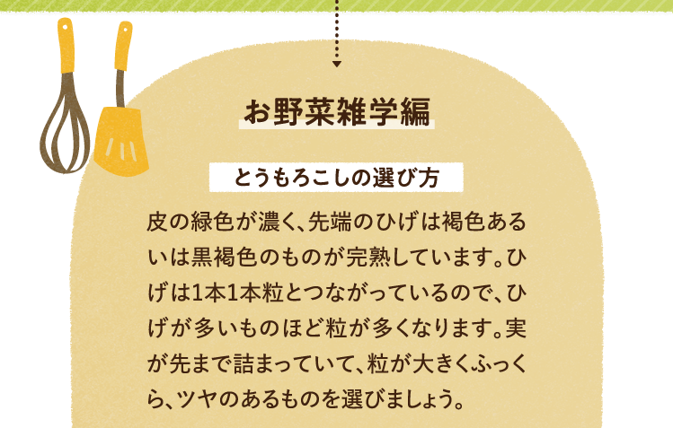お野菜の雑学を紹介します。 とうもろこしの選び方について 皮の緑色が濃く、先端のひげは褐色あるいは黒褐色のものが完熟しています。ひげは1本1本粒とつながっているので、ひげが多いものほど粒が多くなります。実が先まで詰まっていて、粒が大きくふっくら、ツヤのあるものを選びましょう。