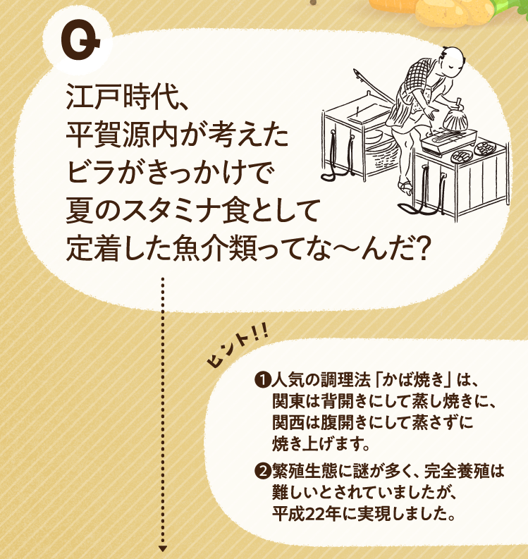 江戸時代、平賀源内が考えたビラがきっかけで夏のスタミナ食として定着した魚介類ってな～んだ？ ヒントその1 人気の調理法「かば焼き」は、関東は背開きにして蒸し焼きに、関西は腹開きにして蒸さずに焼き上げます。 ヒントその2 繁殖生態に謎が多く、完全養殖は難しいとされていましたが、平成22年に実現しました。