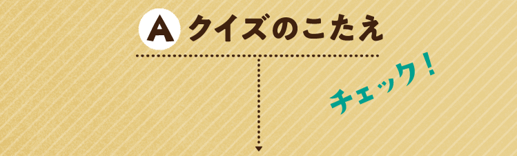 クイズのこたえをチェック！
