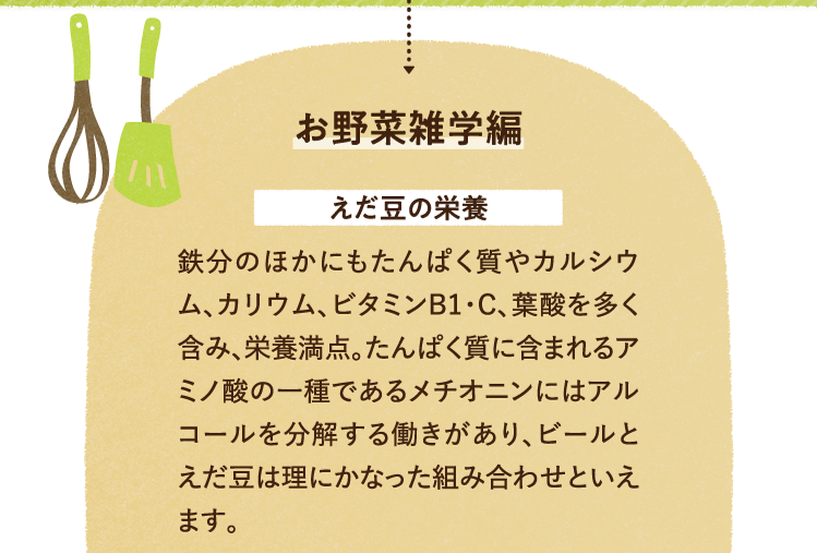 お野菜の雑学を紹介します。 えだ豆の栄養について 鉄分のほかにもたんぱく質やカルシウム、カリウム、ビタミンB1・C、葉酸を多く含み、栄養満点。たんぱく質に含まれるアミノ酸の一種であるメチオニンにはアルコールを分解する働きがあり、ビールとえだ豆は理にかなった組み合わせといえます。
