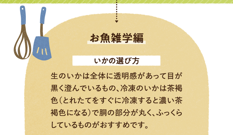 お魚の雑学を紹介します。 いかの選び方について 生のいかは全体に透明感があって目が黒く澄んでいるもの、冷凍のいかは茶褐色（とれたてをすぐに冷凍すると濃い茶褐色になる）で胴の部分が丸く、ふっくらしているものがおすすめです。